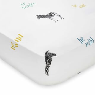 Stay Wild Zebra Blue