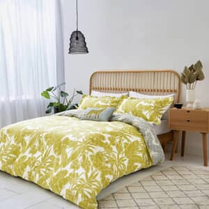 Parlour Palm Citrus