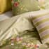 Sheridan Asmara Lichen small 7238C