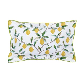 Lemon Tree Leaf Green
