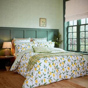 Lemon Tree Leaf Green