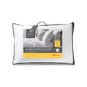 Allergy Defence Pillow
