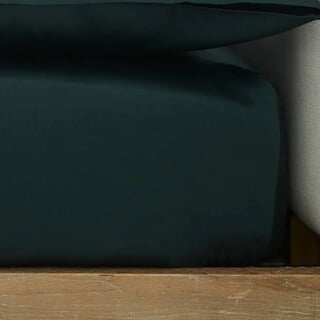 250 Thread Count Forest