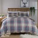 Malvern Check Brushed Cotton