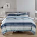 Nantucket Stripe Blue