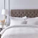 200TC Cotton Sateen Stripe White