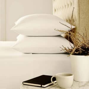 Brushed Cotton Ivory