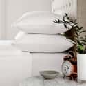 Brushed Cotton White