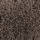 Signum Cocoa
