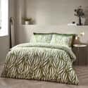 Frond Abstract Olive