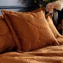 Palmeria Cushion Rust