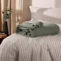 Lark Throw Eucalyptus