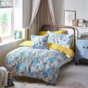 Florelli Peter Rabbit Multi