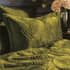 Paoletti Palmeria Quilted Moss small 7961A