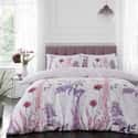Meadow Haze Lilac