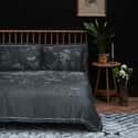 Tendril Spill Navy