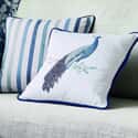 Peacock Beaded Cushion Midnight
