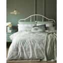 Tuileries Sage
