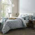 Cariad Spray Newport Blue