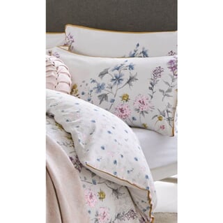 Wild Meadow Multi
