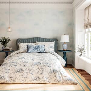 Aesops Fables Dove Blue