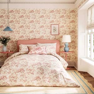 Aesops Fables French Rose