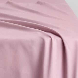 Egyptian Cotton Sateen Tulip