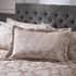 Catherine Lansfield Damask Jacquard Champagne small 8372F