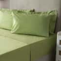 Polycotton 200 T/C Olive