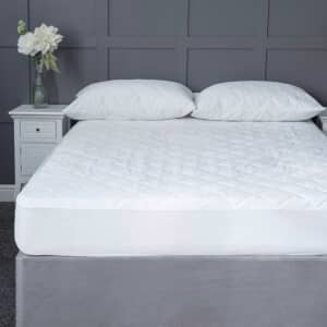 Anti Bacterial Protectors