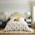 Sanderson small