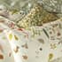 Clarissa Hulse Woodland Walk Autumn small 8509B