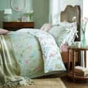 Poppy Meadow Multi