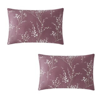 Pussy Willow Plum Purple