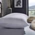 Fine Bedding Co Luna Extra Firm Pillow small 8552C