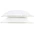 Christy Scallop Edge Matcha small 8570PC2