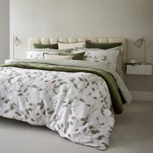 Magnolia Olive
