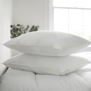 The Dream Pillow Pair