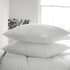 Fine Bedding Co The Dream Pillow Pair small 8681PC1