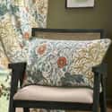 Seaweed Feather Rich Cushion Stone/Sunflower