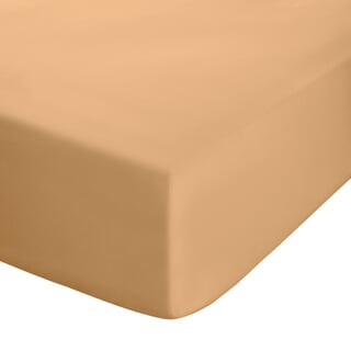 Easy Iron Percale Caramel