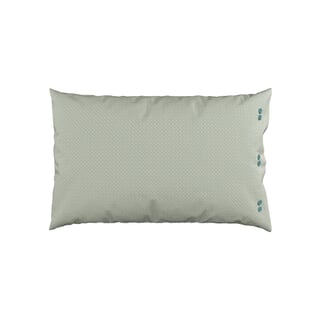 Clarence Celadon