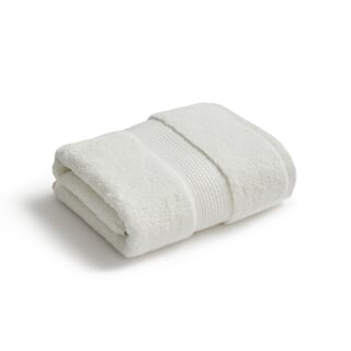 Elegance Parchment