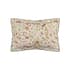 Sanderson small 8898C