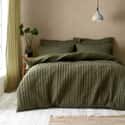 Tamba Jersey Stripe Olive