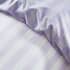 Sassy B Stripe Tease Lilac small 8909D