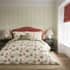 Sanderson small