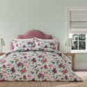 National Trust Summer Peony Vineyard Rose