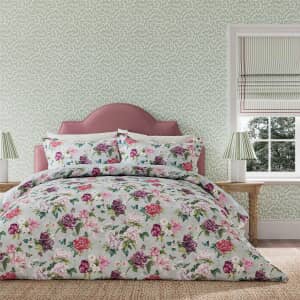 National Trust Summer Peony Vineyard Rose