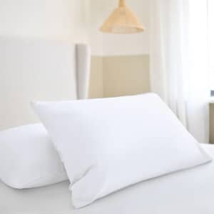 Plain Pillowcase Pair Polar White